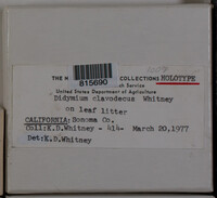 Image Associated With the Occurence